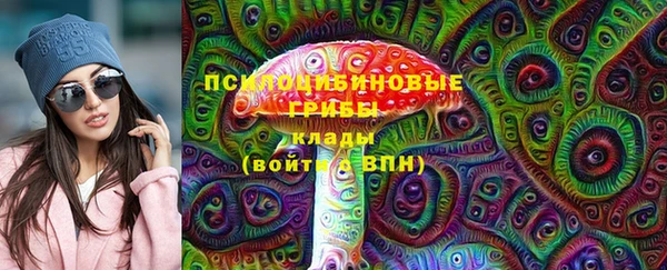 шишки Верхнеуральск